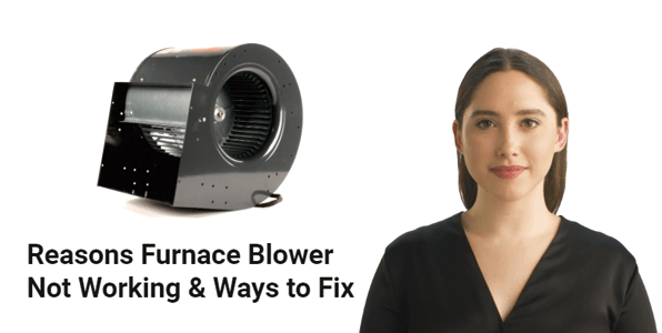 10 Reasons Furnace Blower Not Working & Ways to Fix